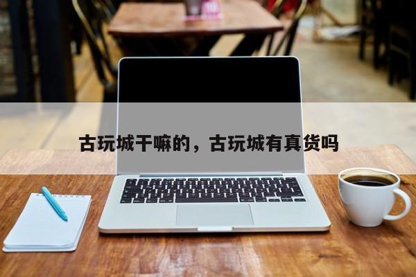 古玩城干嘛的,古玩城有真货吗